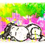 Tom Everhart's Lucy Girl Friend Dreams